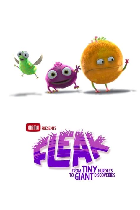 Fleak 2025
